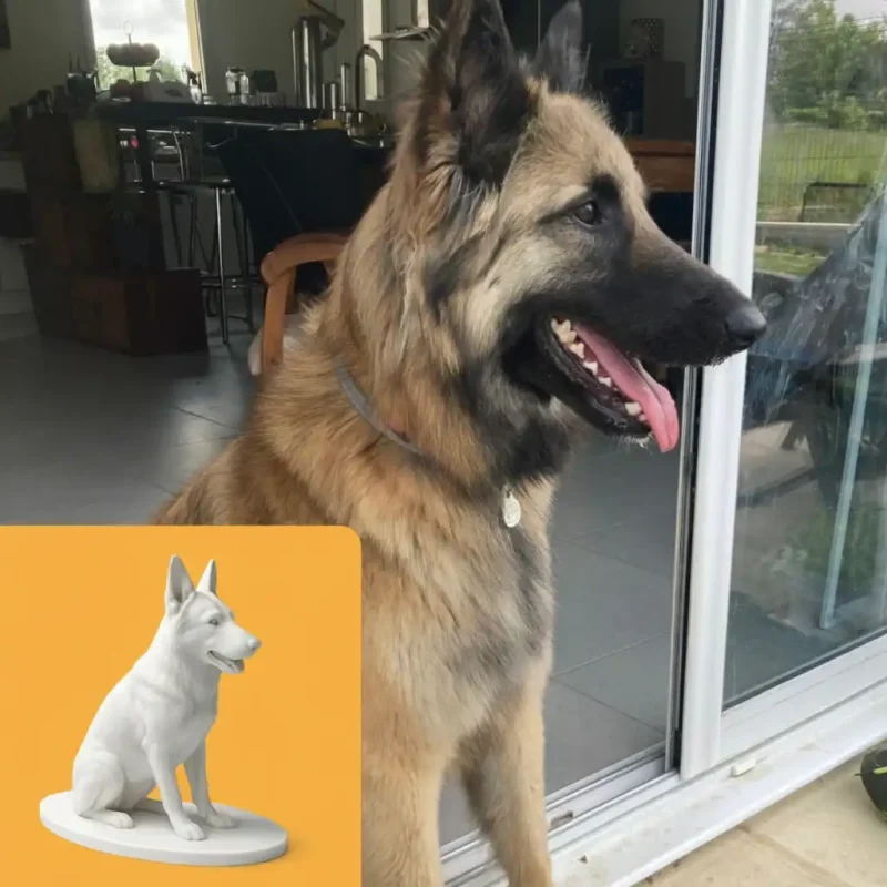 Figurine personnalisée - Je possède un aperçu